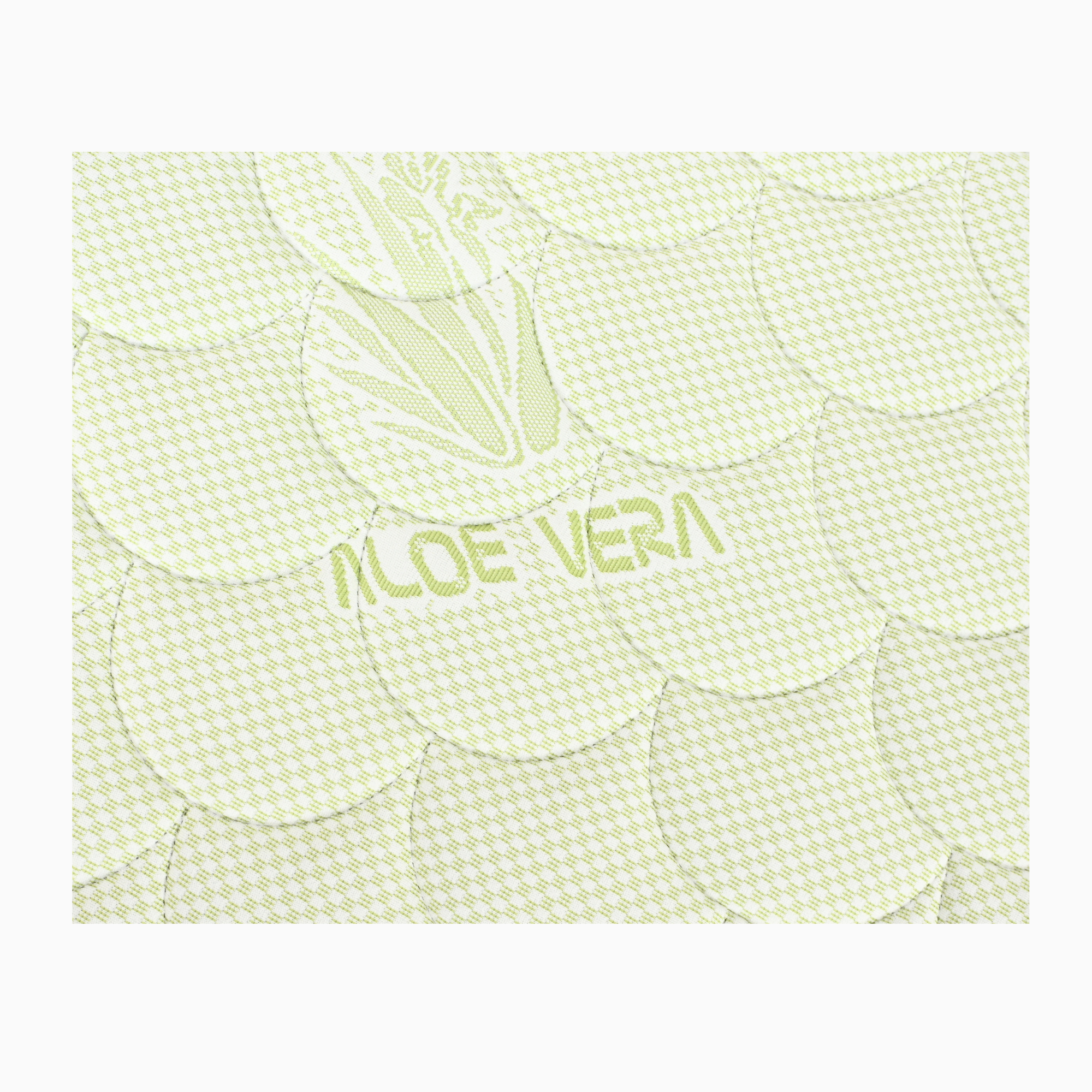 Aloe Vera Memory (3)