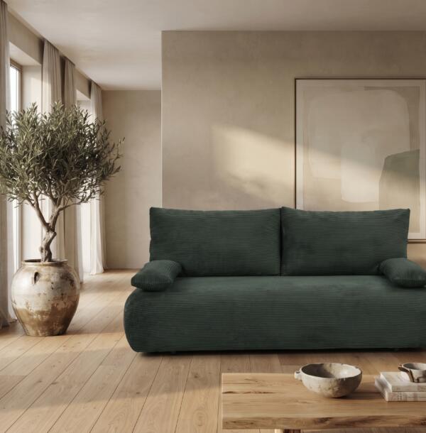 canapea verde (9)